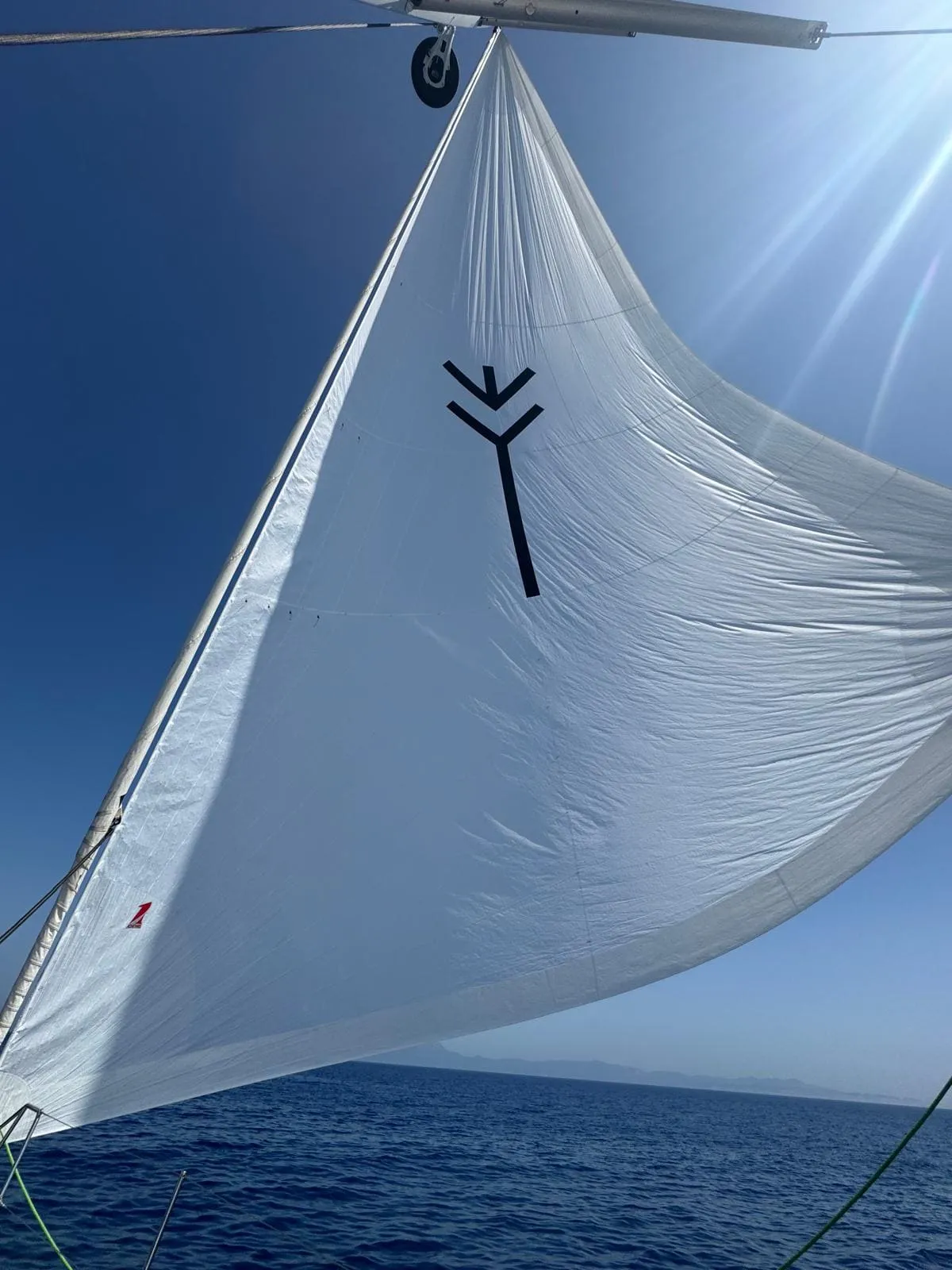 Elyvian Breeze